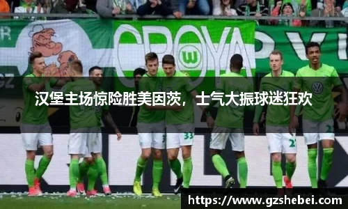 汉堡主场惊险胜美因茨，士气大振球迷狂欢
