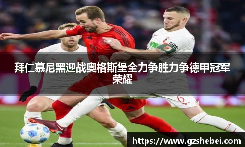 雷火电竞