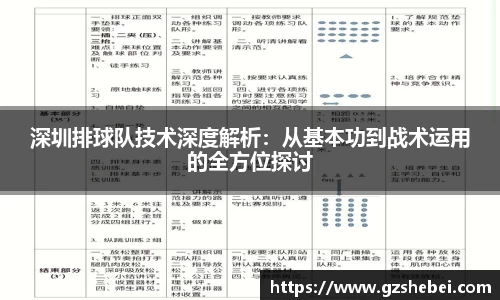 深圳排球队技术深度解析：从基本功到战术运用的全方位探讨