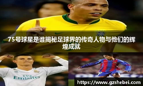 雷火电竞官方网站入口