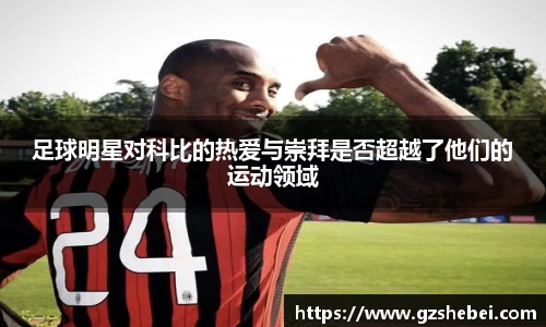 雷火电竞官方网站入口