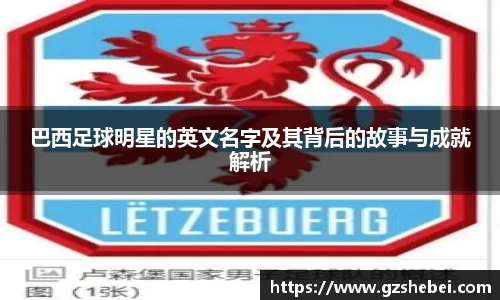 雷火电竞亚洲官网