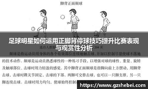 雷火电竞官方网站入口